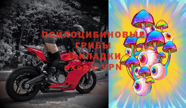 дмт Надым